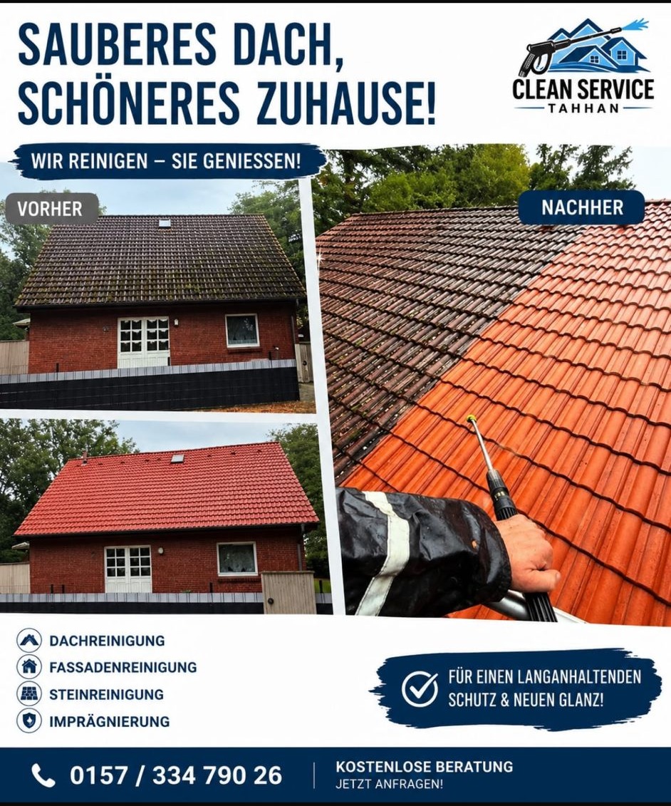 Dachreinigung Vorher Nachher